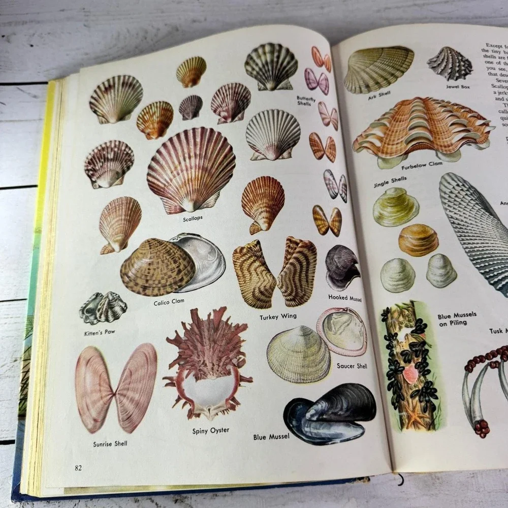 New Golden Treasury of Natural History Parker 1968 1st Print Golden Press